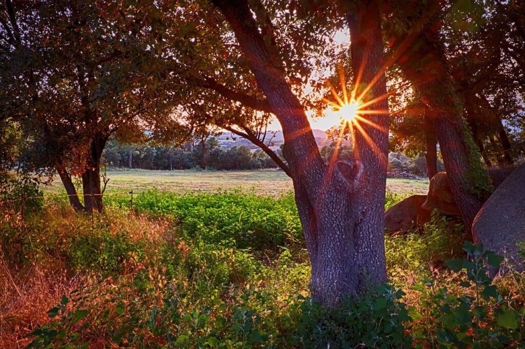 Morning view of a mountain area